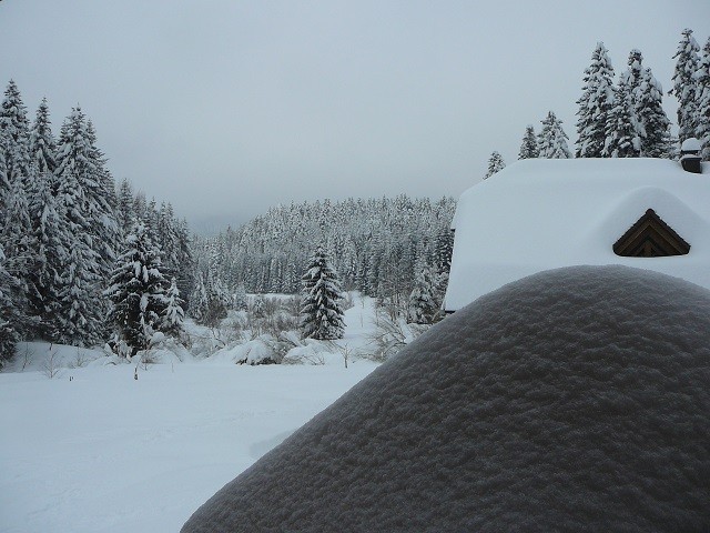 Gorski kotar